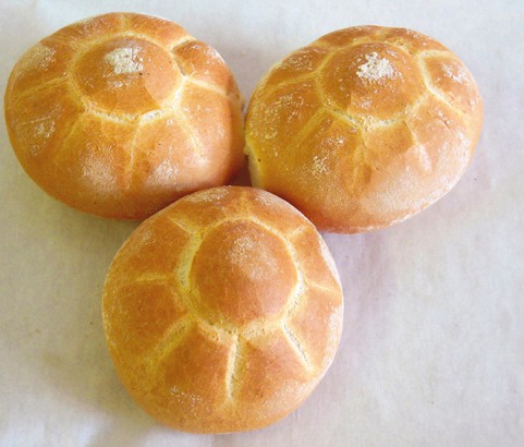 Tartarughe-Semmel Bäckerei Burgauner