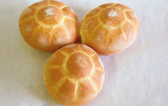 Tartarughe-Semmel Bäckerei Burgauner
