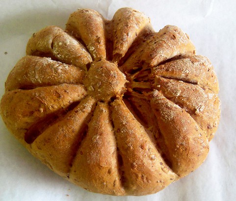 Bikerbrot Bäckerei Burgauner