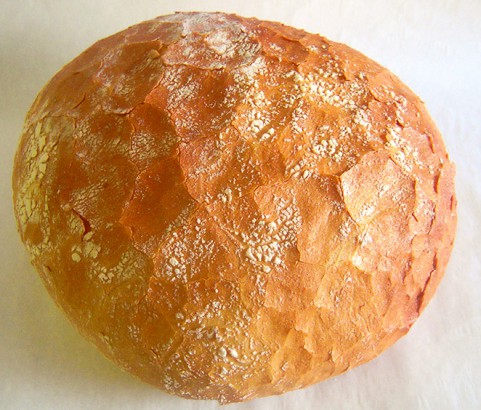 Pan Pugliese Bäckerei Burgauner